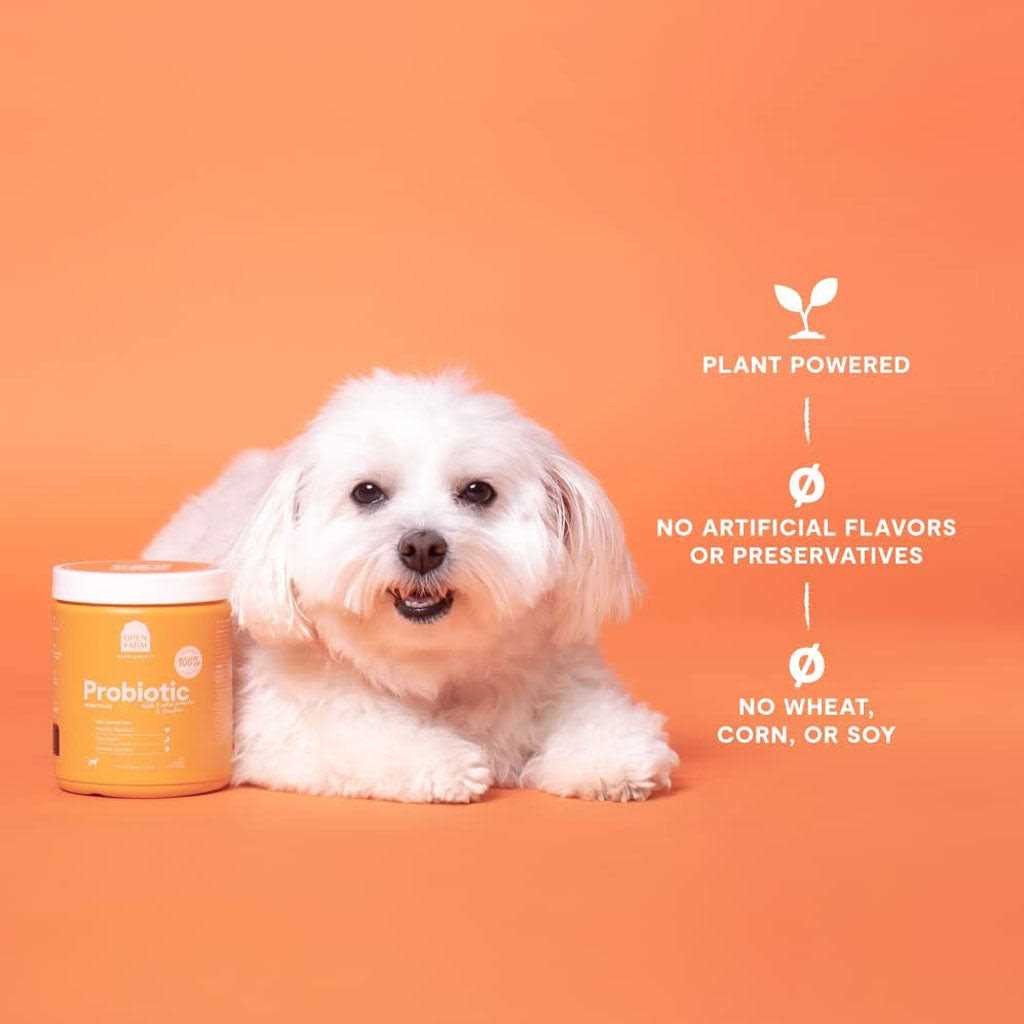 Probiotic Dog Chews O49333