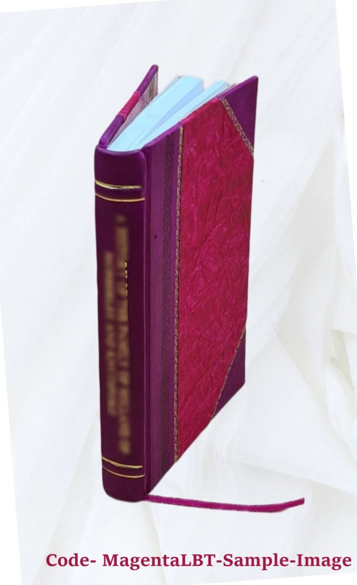 Water Policy Implementation Report Leather Bound Z8948