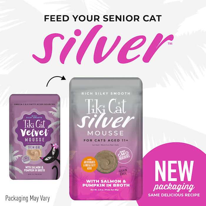 Salmon Wet Food U926959