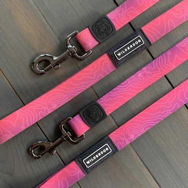 Waterproof Leash V671