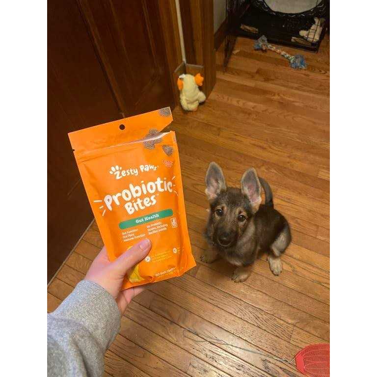 Probiotic Bites E258858