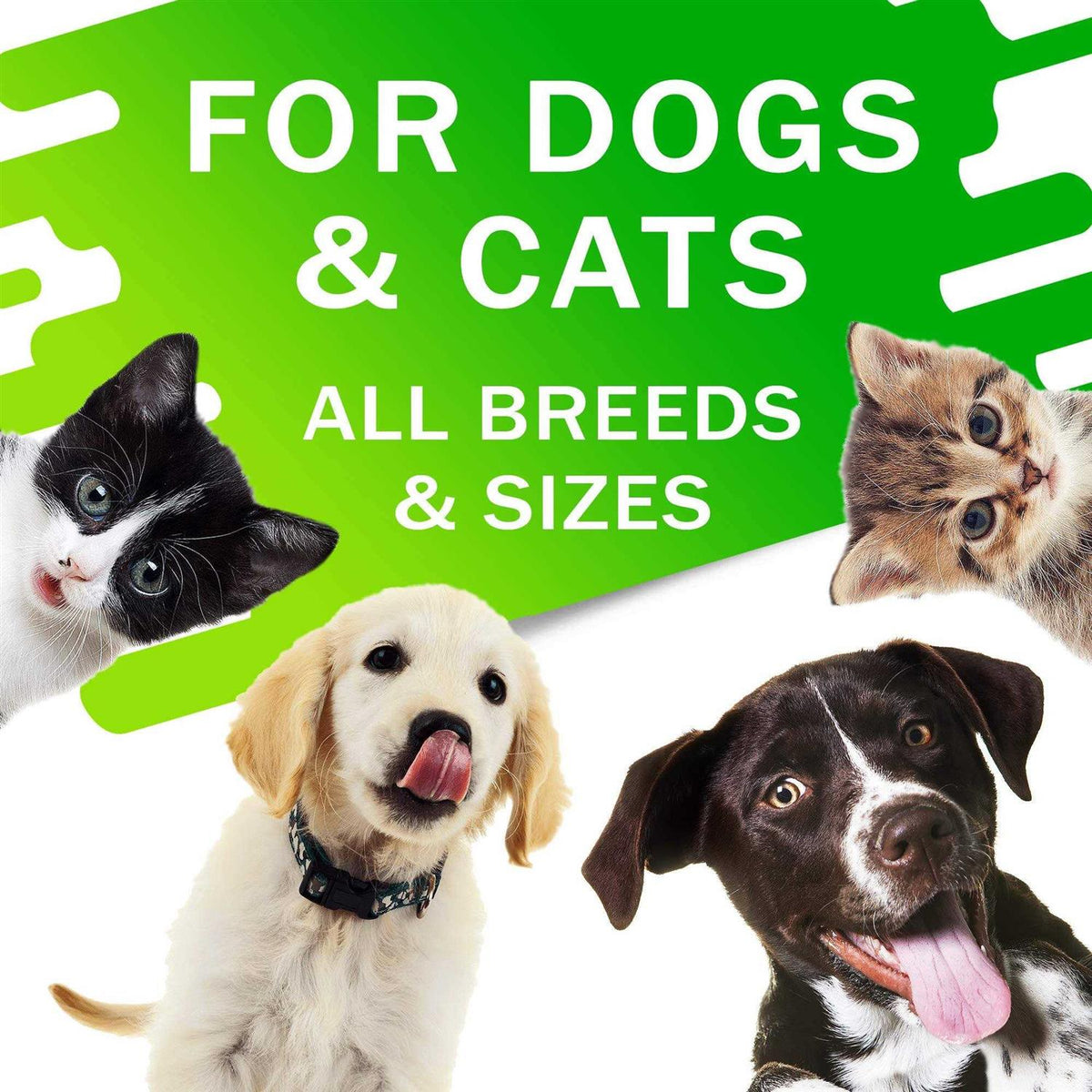 Kennel Cough Drops for Dogs and Cats 2oz C7105