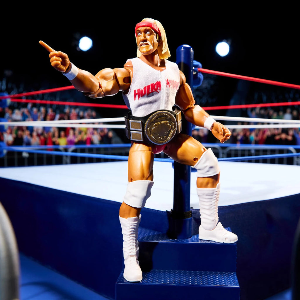 Hulk Hogan & Terry Funk Figures F5322