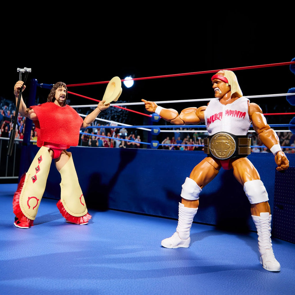 Hulk Hogan & Terry Funk Figures F5322