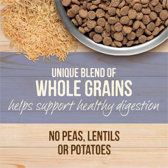 Healthy Grains Freeze Dried Raw Coated Dry Dog Food Puppy Recipe S7141