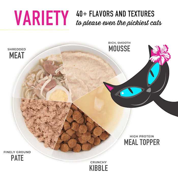 Salmon Wet Food U926959