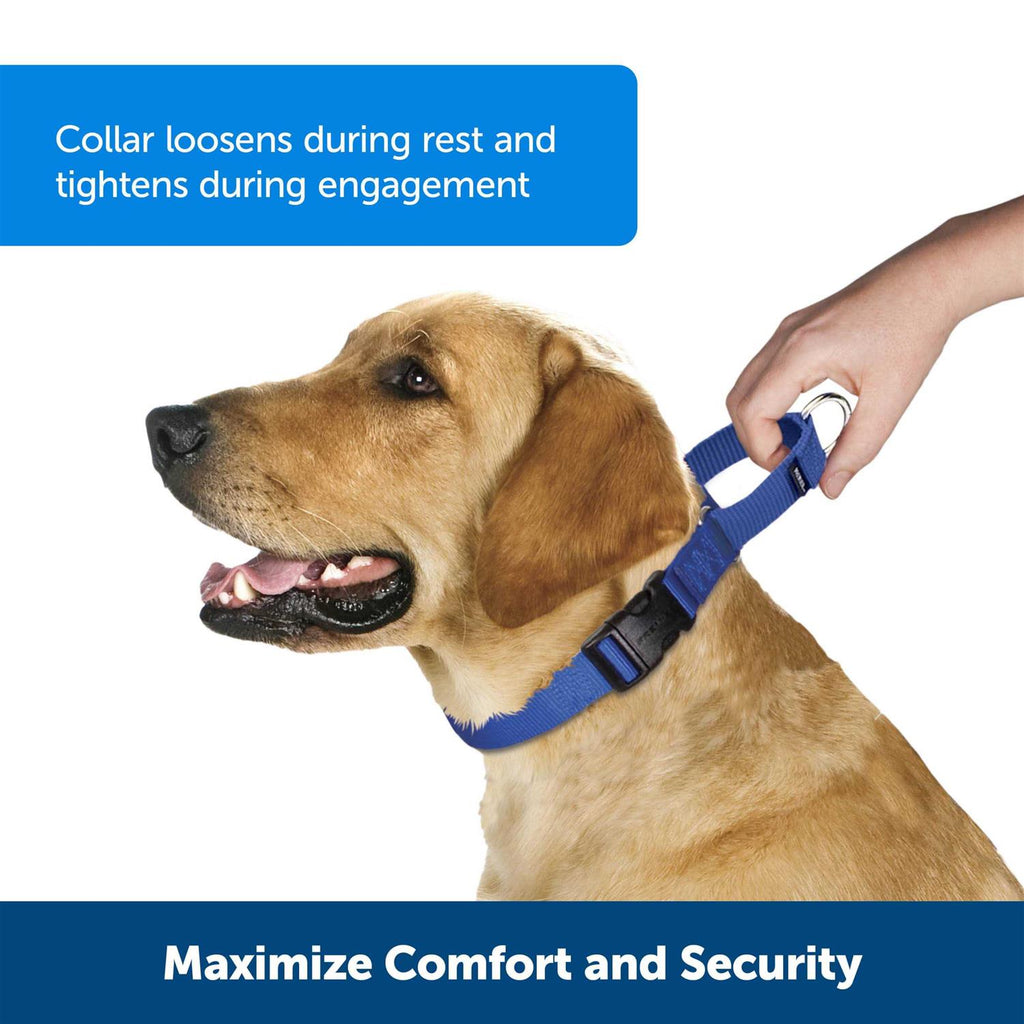 Martingale Collar I44259