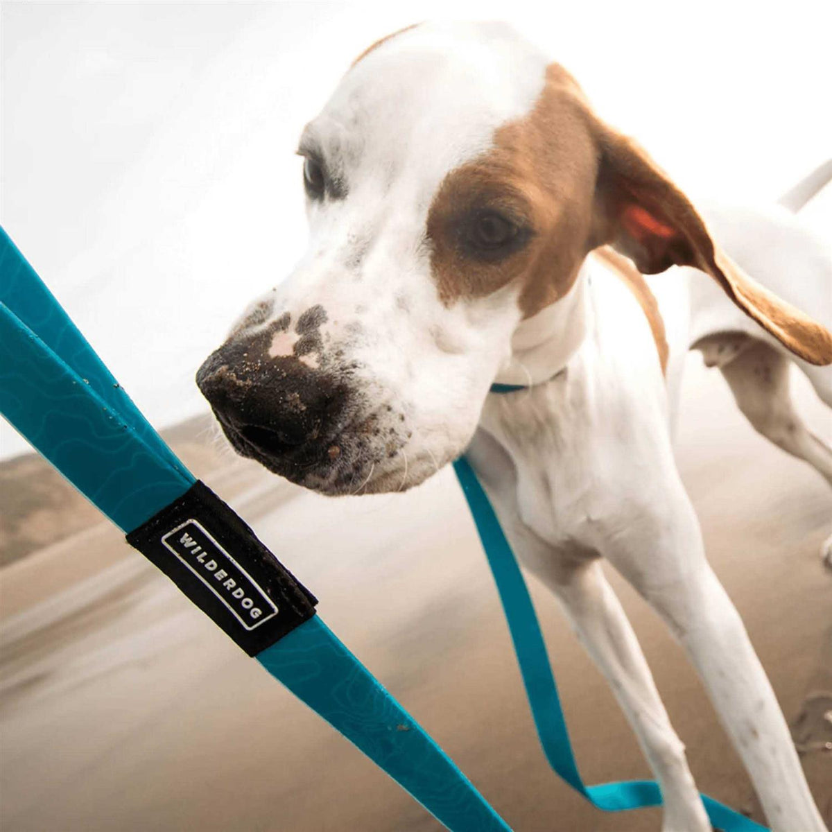 Waterproof Leash V671