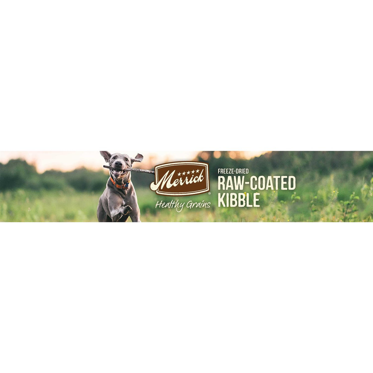 Healthy Grains Freeze Dried Raw Coated Dry Dog Food Puppy Recipe S7141