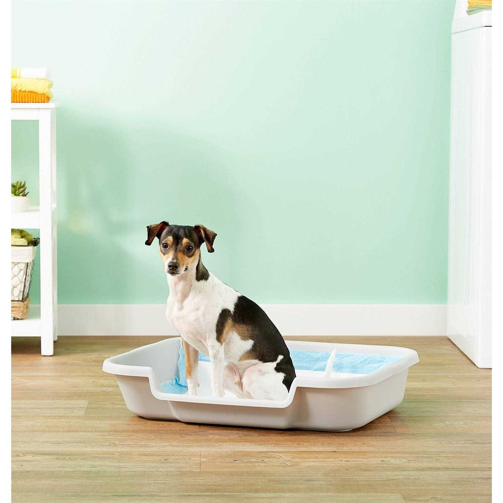 Dog Litter Box E667778