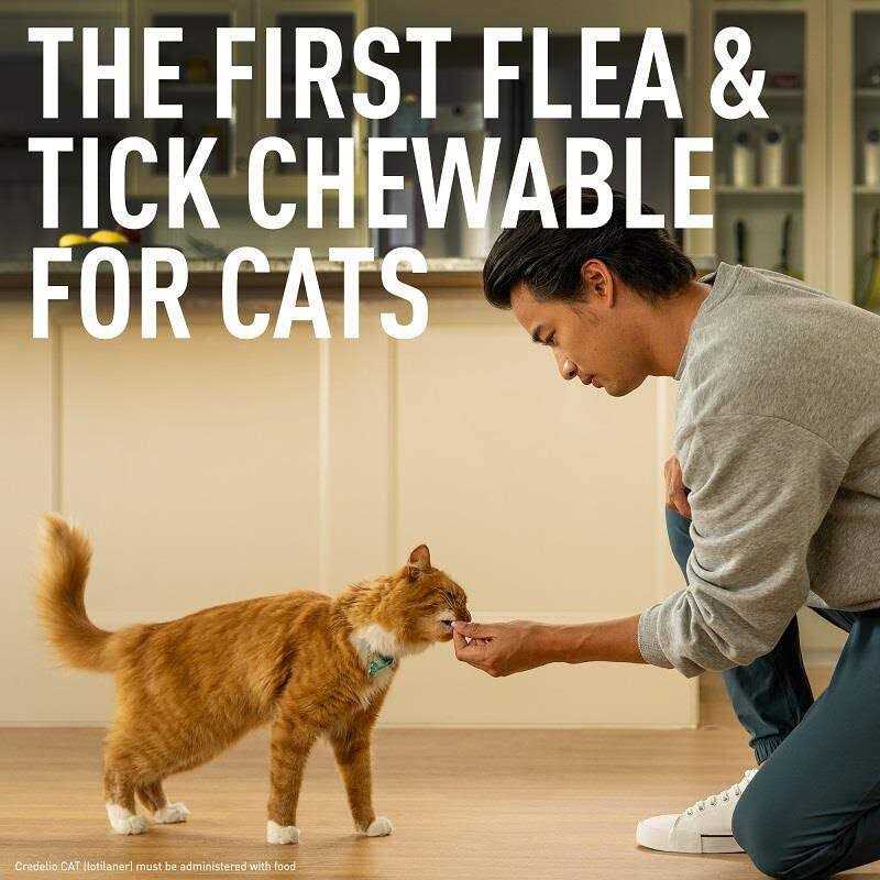 Credelio for Cats N299631