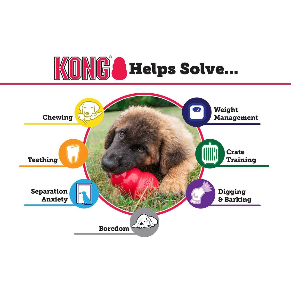 KONG Dog Toy J258858